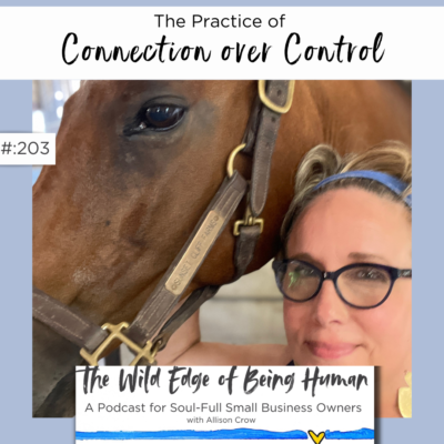 Episode image Connection over Control photo of dark brown bay horse from the neck up and Allison standing next to him.