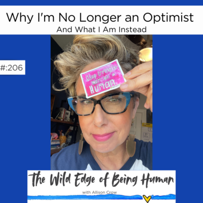Why I'm No longer an Optimist And What I Am Instead