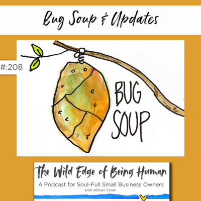 Bug Soup & Updates