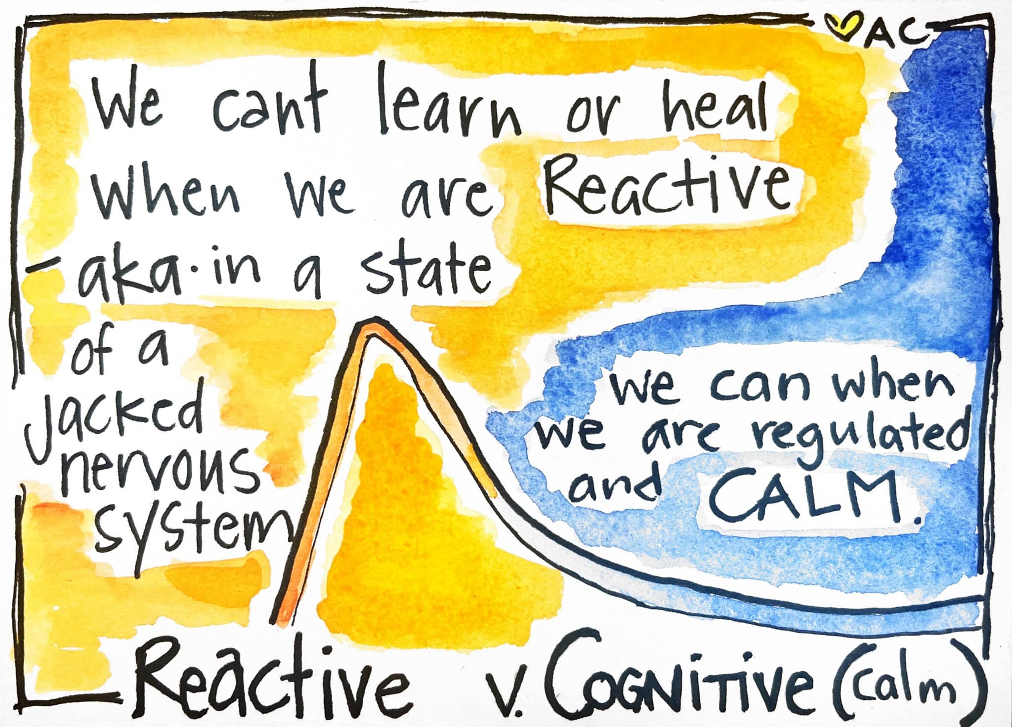 Hand drawn card that shows a line between a reactive state moving into a calm and regulated state (cognitive) that says we can't learn or heal when we are in a reacitve state